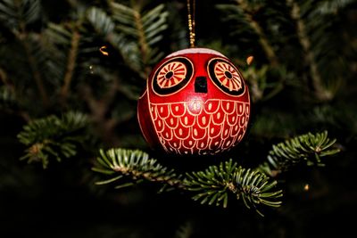 Close-up of christmas decoration hanging on tree