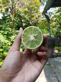 Close-up of hand holding fruit