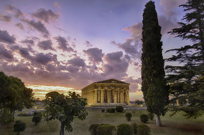 Trees in front of temple during sunset