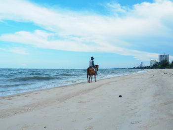 Man riding horse on beach