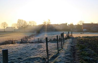 Sunrise in agriculture area