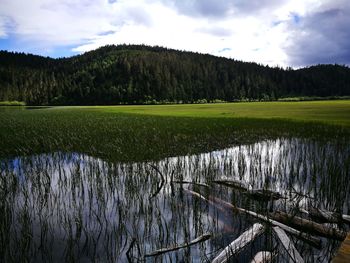 Scenic view of grassy field against mountains