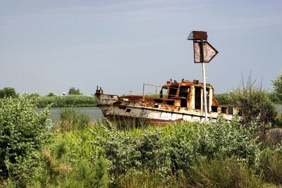 Abandoned boat against trees
