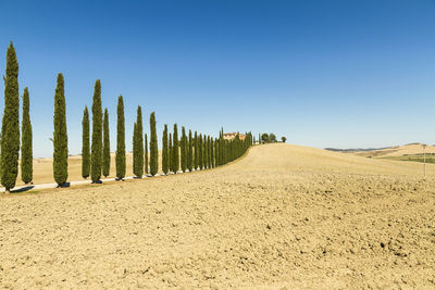 Panoramic shot of land against clear blue sky