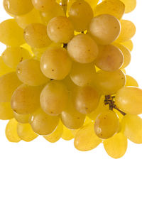 Close-up of grapes against white background