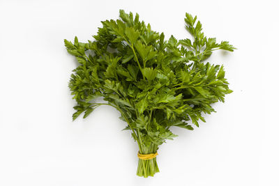 Directly above shot of vegetables against white background