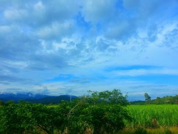 Scenic view of field against cloudy sky