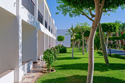 The white wall of the seaside resort with balconies overlooks the green garden.