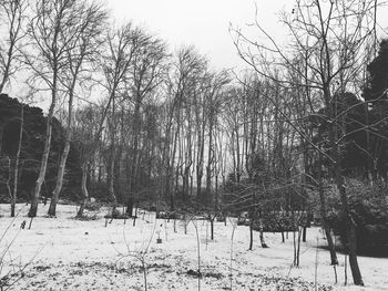 Bare trees on snow covered field against sky