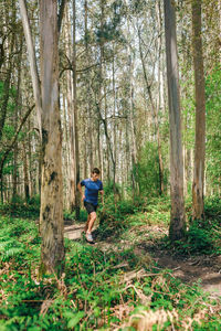 Man walking amidst trees in forest