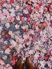 Low section of person standing on maple leaves during autumn