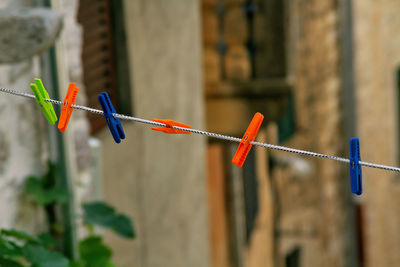 Close-up of clothespins hanging on rope