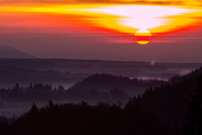 Scenic view of silhouette trees against orange sky