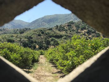 Scenic view of landscape