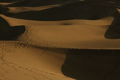 Scenic view of sand dunes in desert