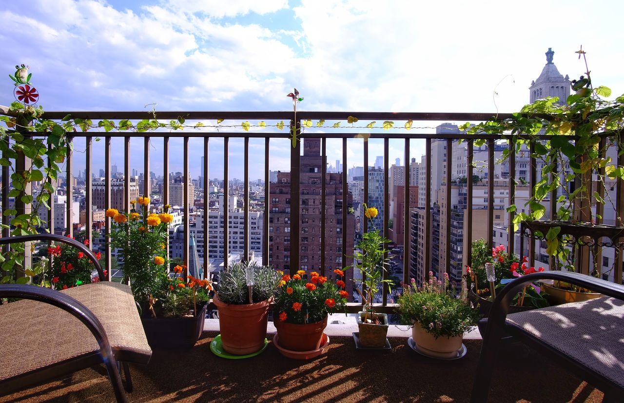 plant, flower, flowering plant, potted plant, growth, railing, nature, sky, no people, architecture, built structure, cloud - sky, outdoors, day, beauty in nature, table, flower pot, balcony, building exterior, metal