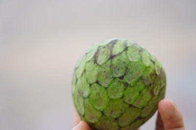 Close-up of hand holding fruit