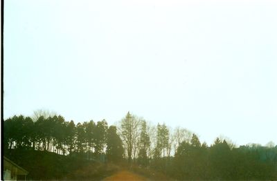 Trees on field against clear sky