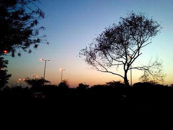 Silhouette of trees at sunset