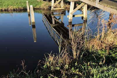 Abandoned plants in lake