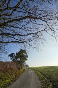 Empty road amidst trees on field against sky