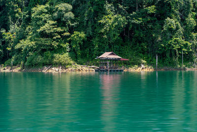 View of swimming pool in forest