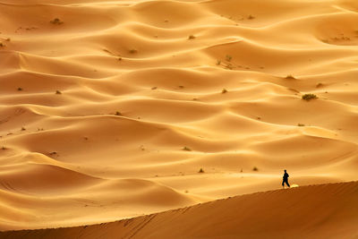 Man walking at erg chebbi desert