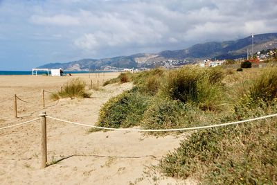 Scenic view of beach against sky