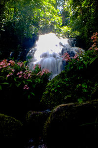 Waterfall in forest