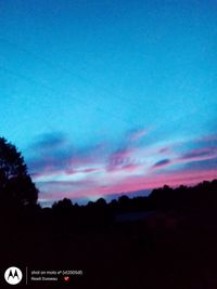 Low angle view of silhouette trees against blue sky at sunset