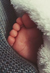 Close-up of baby feet