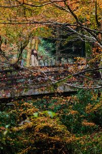 Trees by lake in forest during autumn