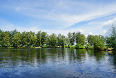 Scenic view of lake by trees against sky