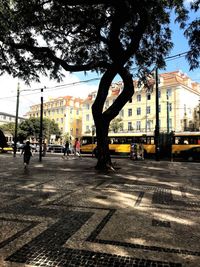 City street by trees against sky