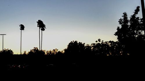 Low angle view of silhouette trees against sky at sunset