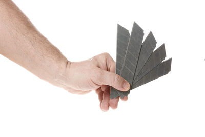 Close-up of hand holding leaf against white background