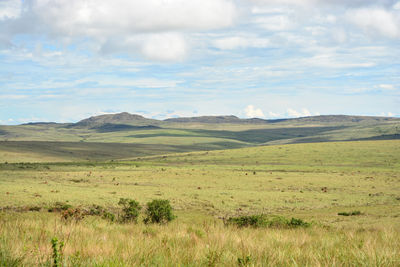 Scenic view of landscape against sky