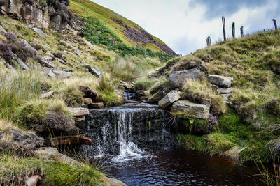 High angle view of waterfall in forest