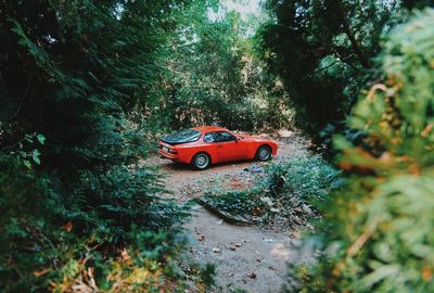 Toy car in forest