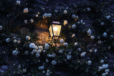 High angle view of illuminated lantern on street light