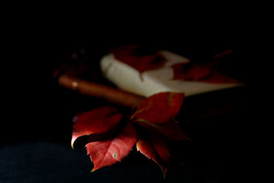 Close-up of red maple leaves on table
