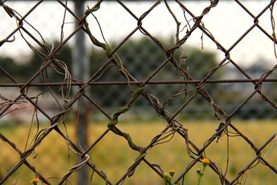 Full frame shot of chainlink fence