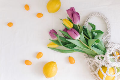 High angle view of flowering plant on table