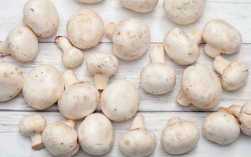 High angle view of eggs on table