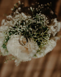 High angle view of white flower