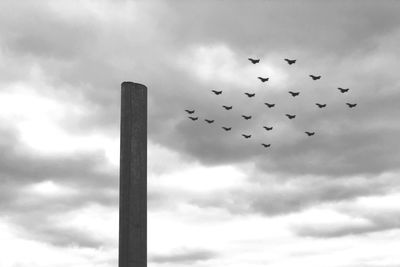 Low angle view of birds flying in sky