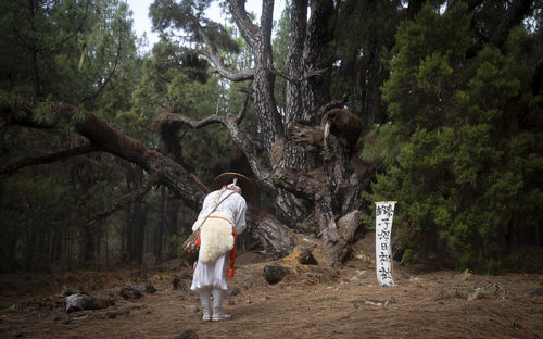 Rear view of woman standing on rock in forest