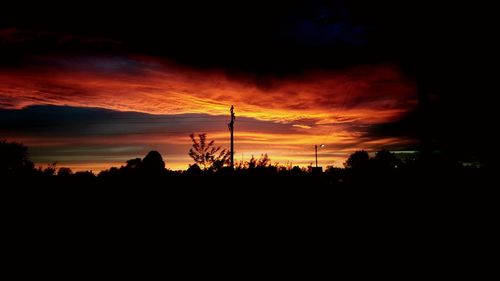 Silhouette of trees at sunset