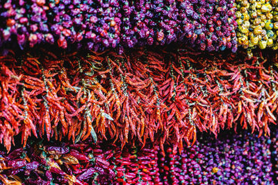 Full frame shot of multi colored candies for sale in market