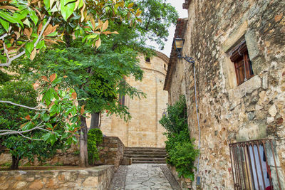 Alley amidst buildings in town